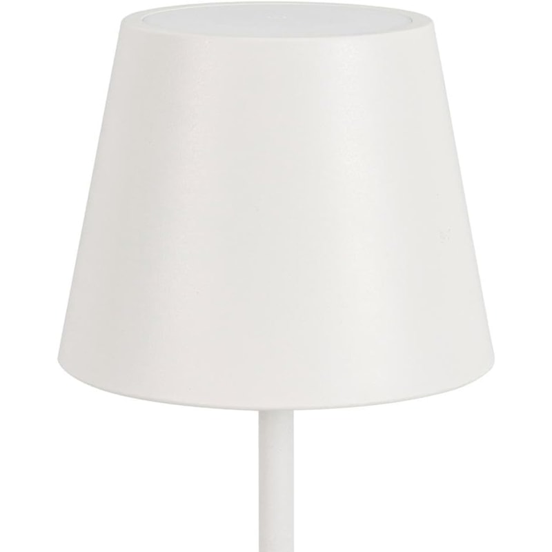 image_b6f9518e-b784-42d2-bcfd-d47c5c87b235