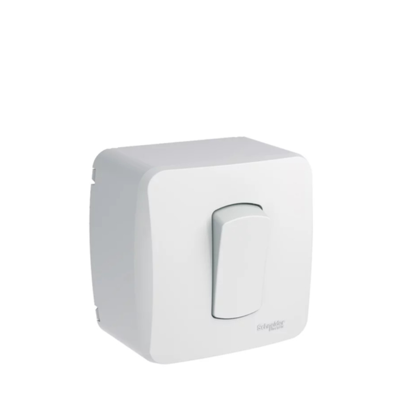 image_941804ca-b11e-4603-b7d0-c4dd9ec7eeed