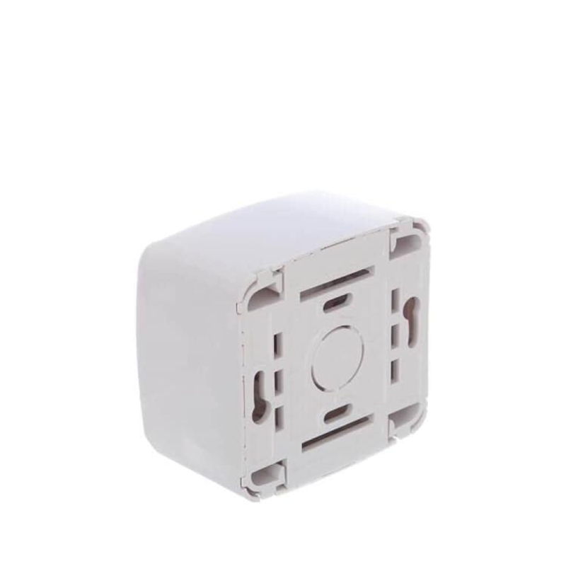 image_2603aeb6-79ee-483b-bfd7-d363a205d35e