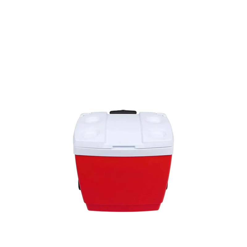 image_e1cd37b5-4768-448b-a5af-2a2e02e84543