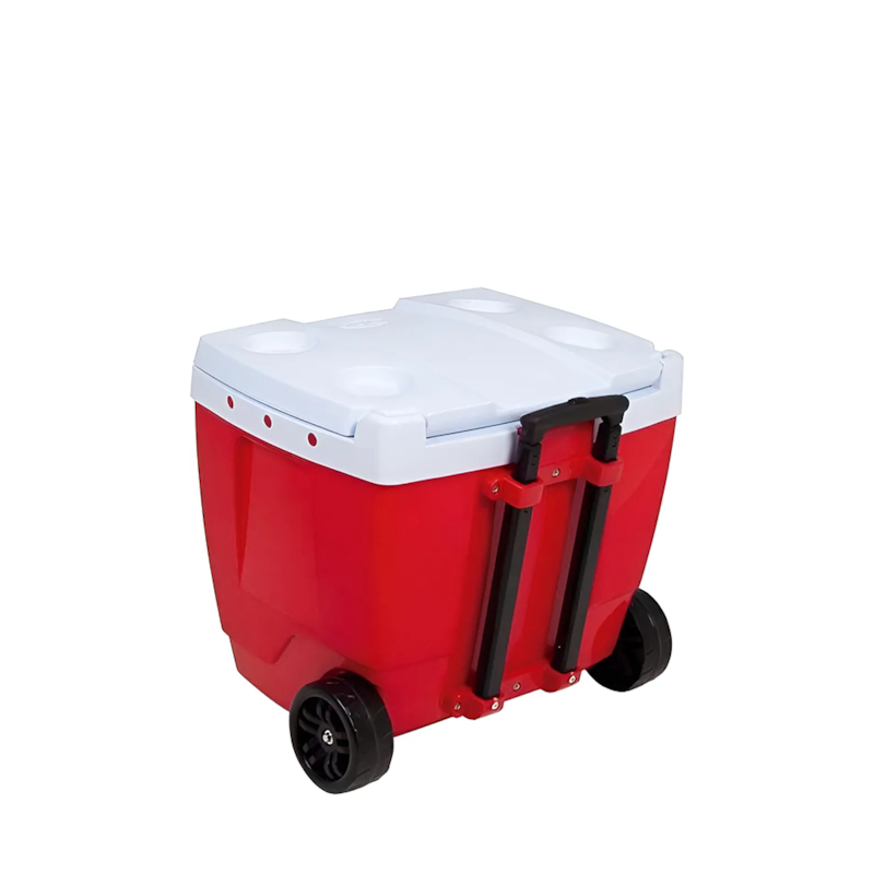 image_7d1f6696-eb0a-4cd3-92cd-2ff955b6c5d5