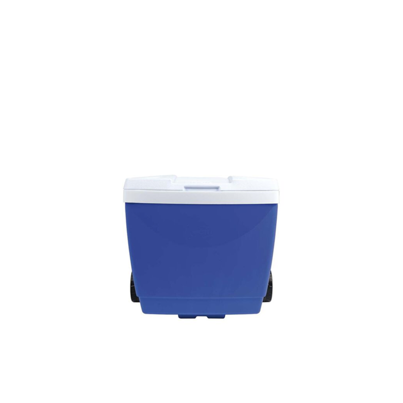 Product main image - c82bee3c-a2bf-467a-a7bf-cbb7ae43d08a