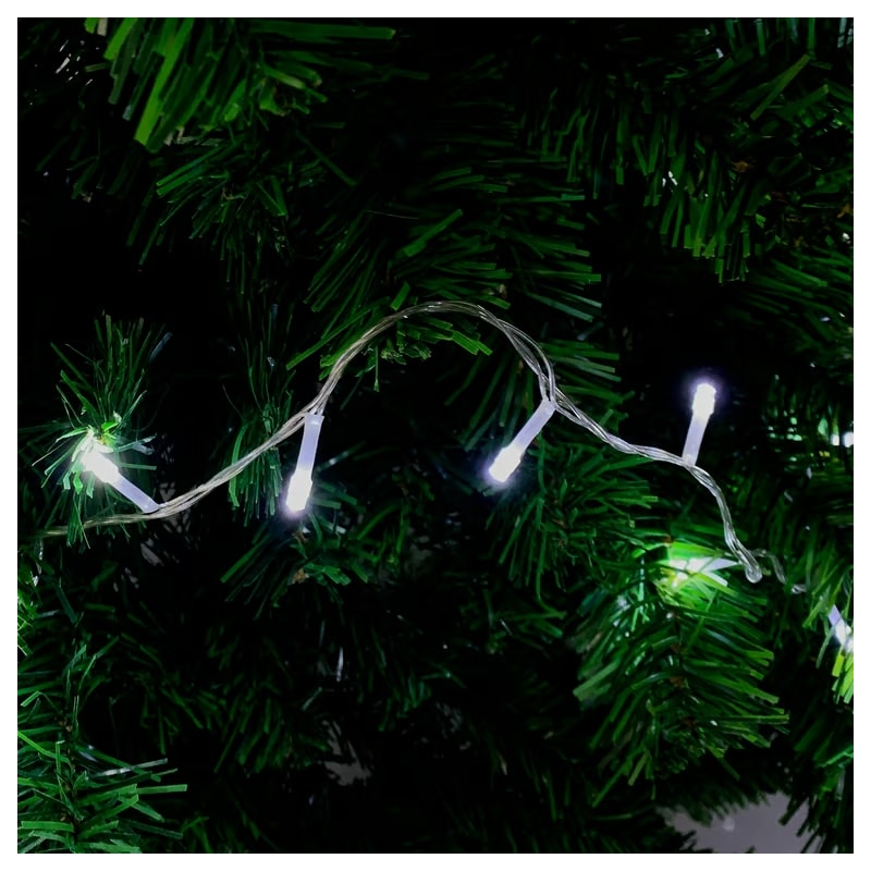 image_1b0b98e4-163e-4ad5-862e-64d82a4191bd