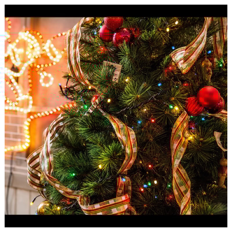 image_8b95e04d-23dd-4878-9219-1be2f87bcaa4