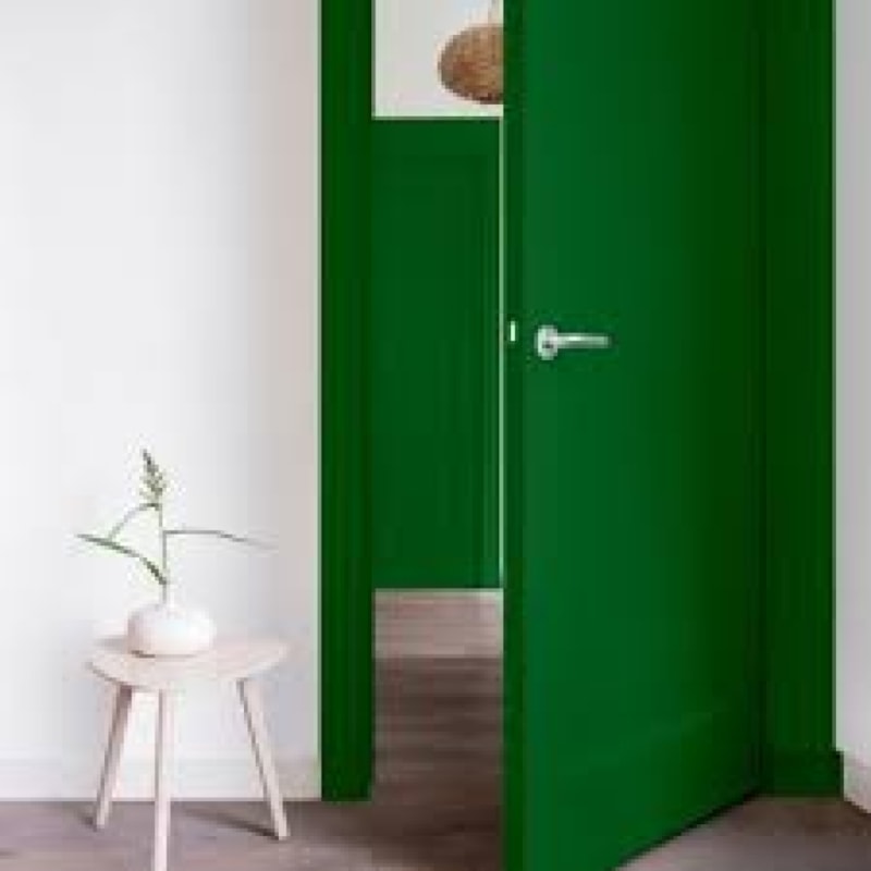 image_d47f87c0-165e-49fc-96f8-3c49f7695a68