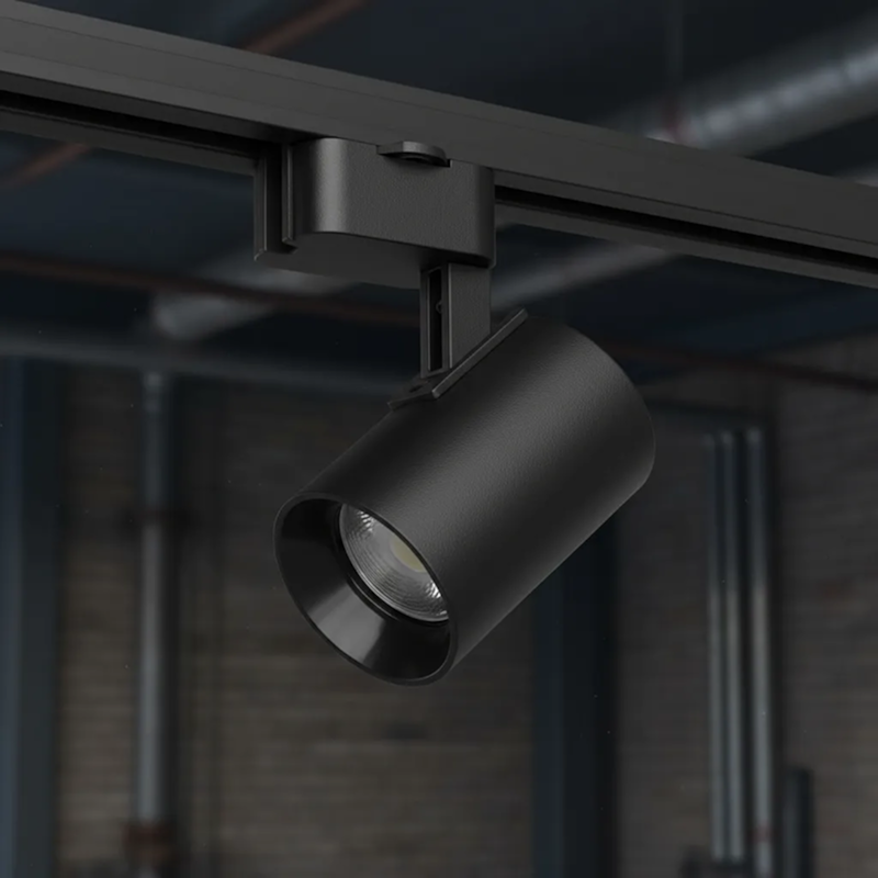 image_b2475a86-511b-4a7e-accf-5b332eee10a3