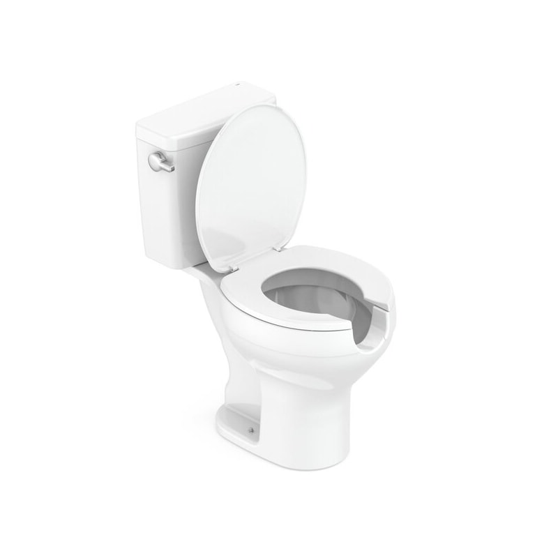 image_e507a298-e926-43b0-b319-de64c0193486