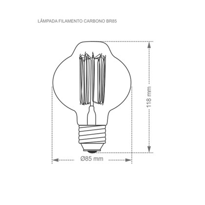 Lampada Taschibra Filamento De Carbono Br85 40w 220v