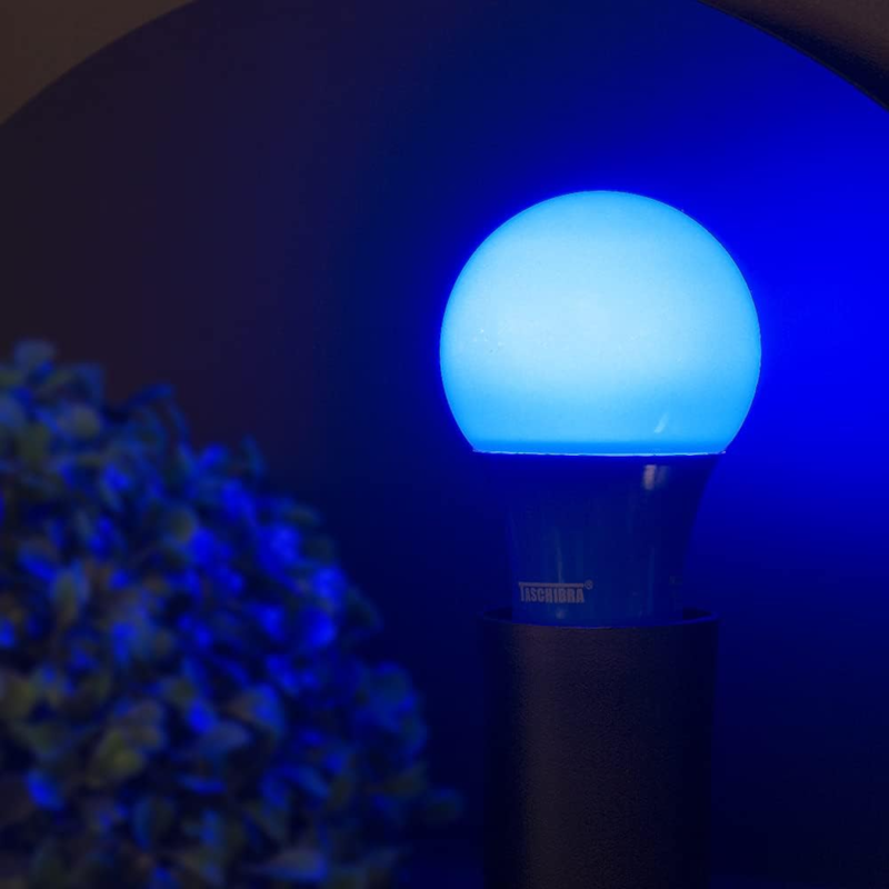 image_012bc01c-f558-4553-bcad-ddbed9262341