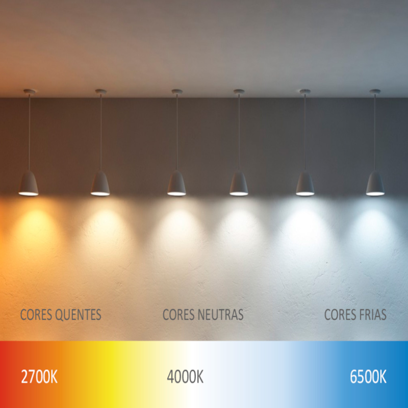 image_cdfb5087-fcd4-49d5-b2b5-d14c7341face