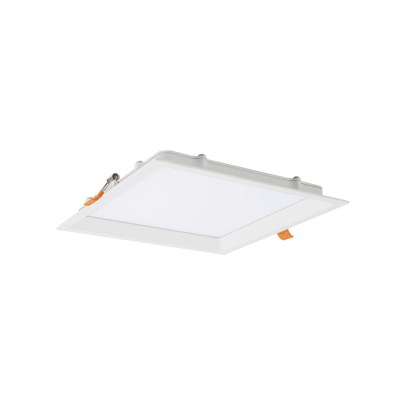 image_f34c424e-f4e9-4f03-a856-7de6ac4e0194