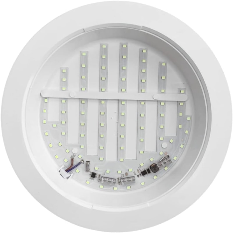 image_7baa8a2a-84fd-40df-a062-ff3c8ab74f13