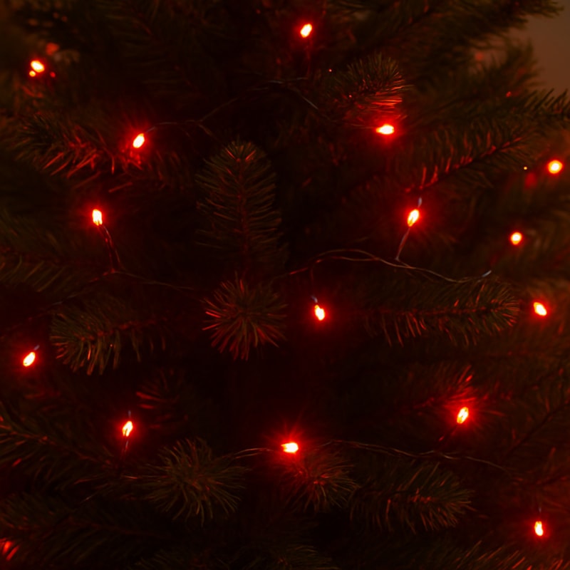 image_d1688b9c-0800-423e-b590-c5f9bbf317d3