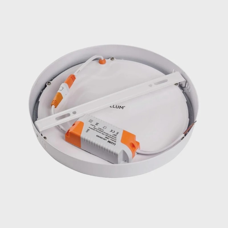 image_ca731990-5c94-4375-bdd8-b92ec2ba7c01