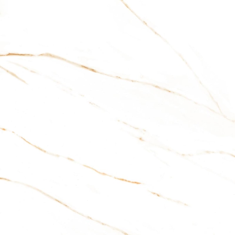 image_67a1c97f-d574-44db-b454-6d82101c8aff