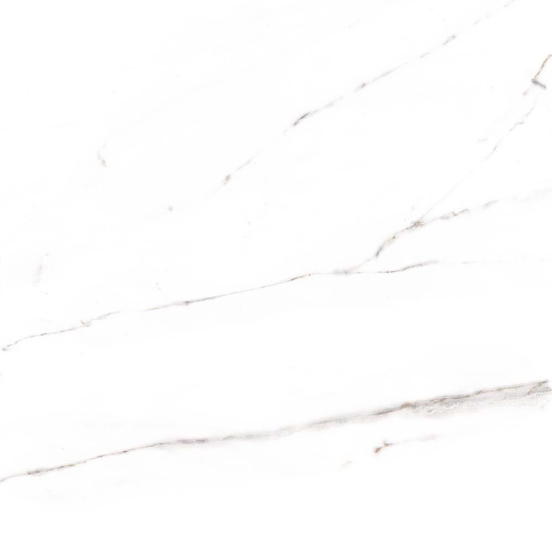 image_101b9f1a-9796-4881-842f-28c58a539d17