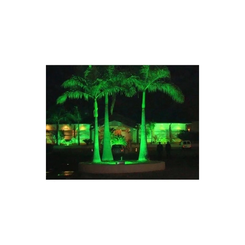 image_507b897d-9872-4236-a7d1-577979a38f69