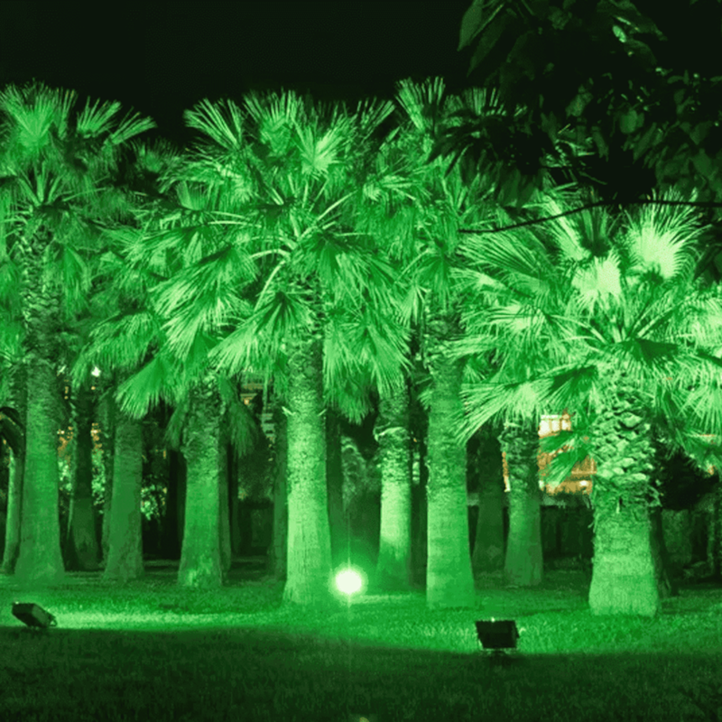 image_51a7c524-bdc1-4960-8ade-76e7c44dfd78