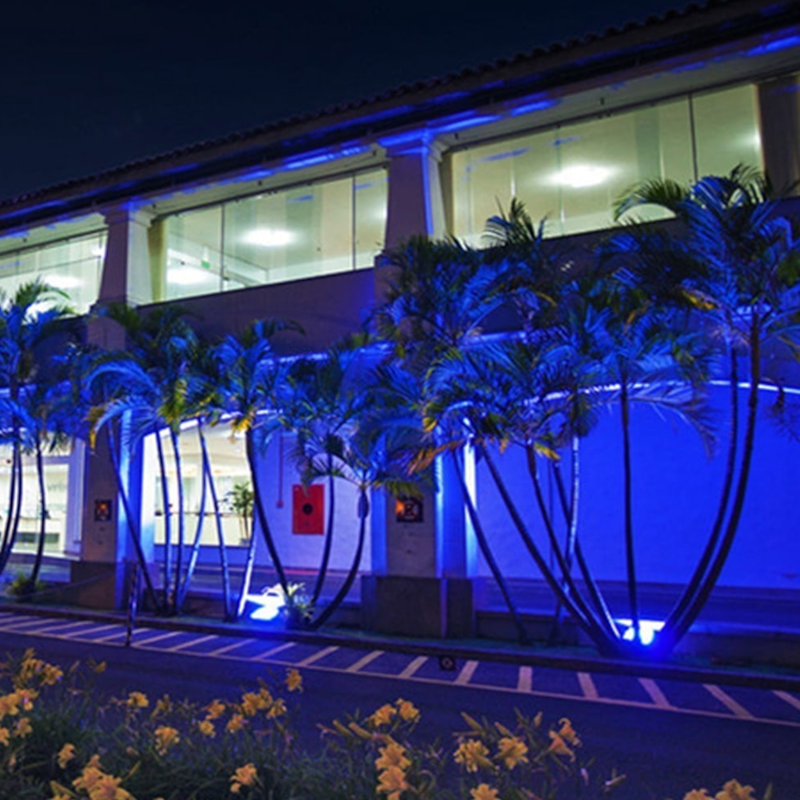 image_ba1cd9fa-1b86-4240-a607-4414a5268dc1