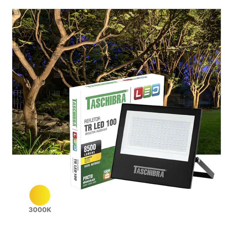 image_c6ff8dc7-d3c6-40f2-a8d2-50852bfc18cb