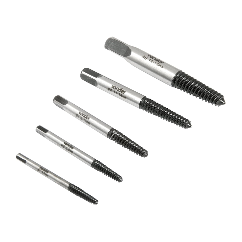 image_efa24bed-0568-445e-bc2a-23c665eef153