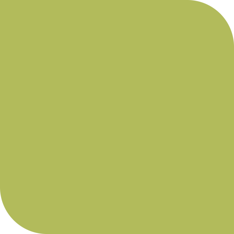 image_ee8a990b-3a8e-4fbe-ad0c-a5fcba8d402c