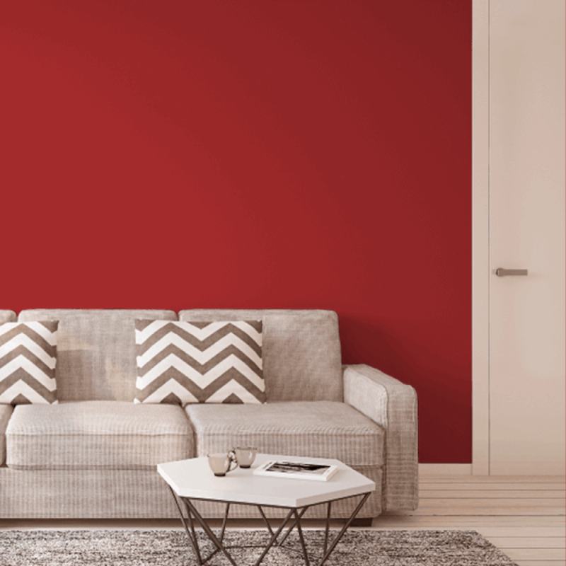 image_5793bb1d-4bee-4a9e-83c9-31ca3fead837