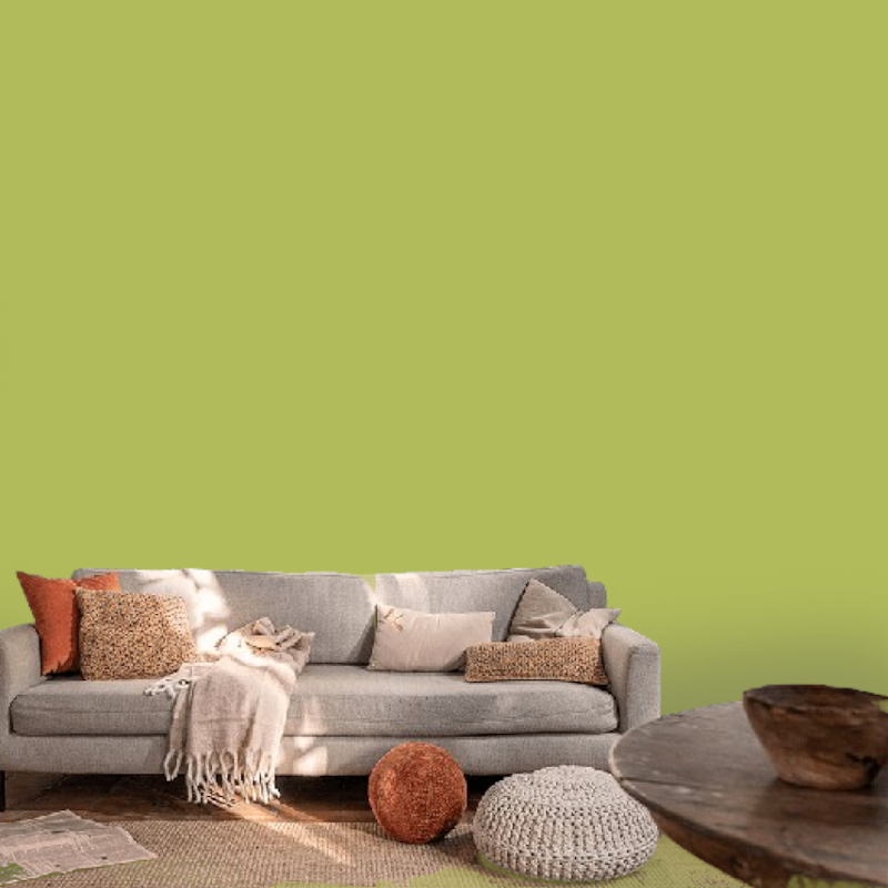 image_384cd1f5-76c3-4e65-aa2d-6770d556d728