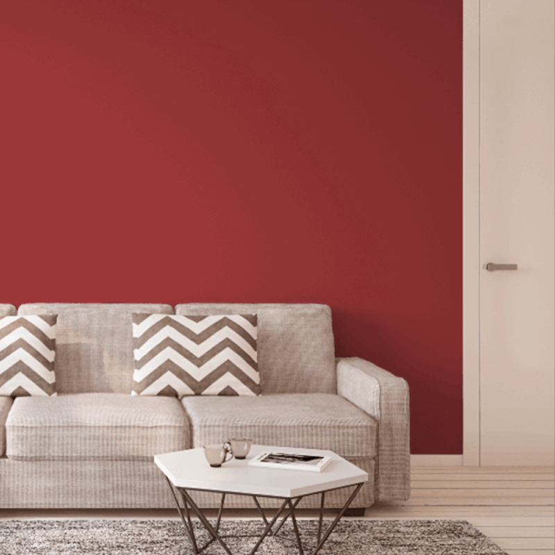 image_8487e5e5-d1ce-46ec-aac2-c69a8da80cd5