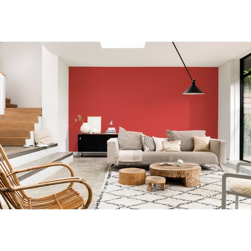 image_c018b4ad-19d2-4c89-ae4a-443bea93efdd