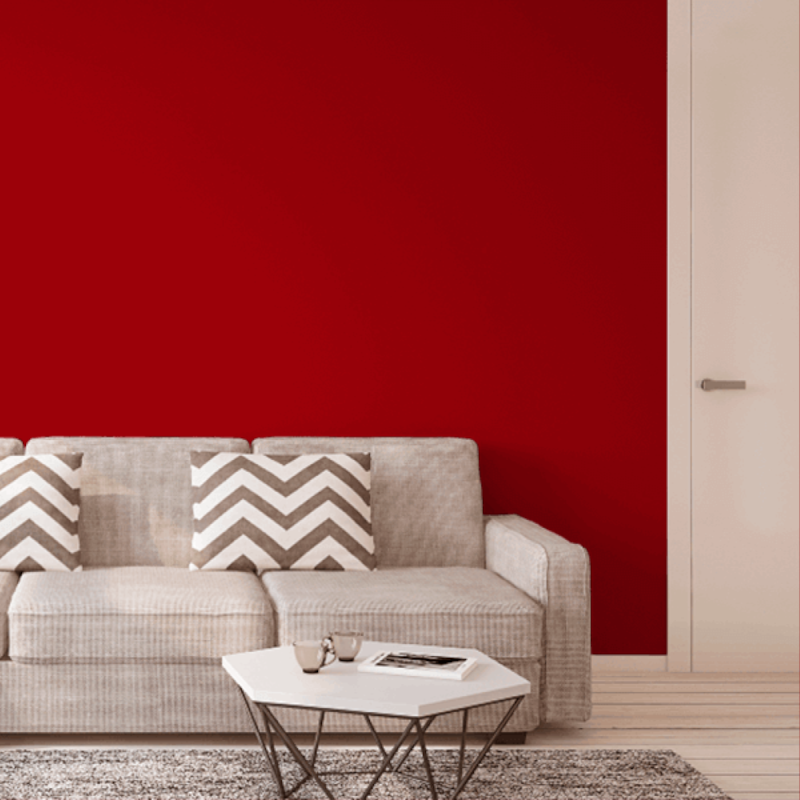 image_a3217acf-ecf3-4f17-8cdc-ff8b8f7be16e