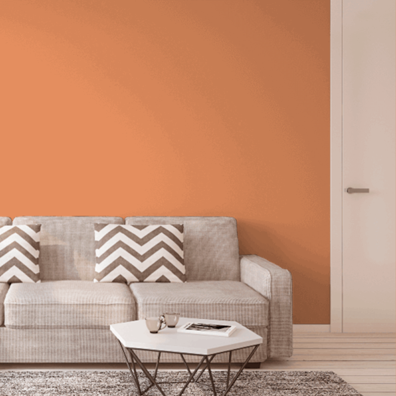 image_d1cc24a9-e9c1-4b5f-a0dc-d7668102d115