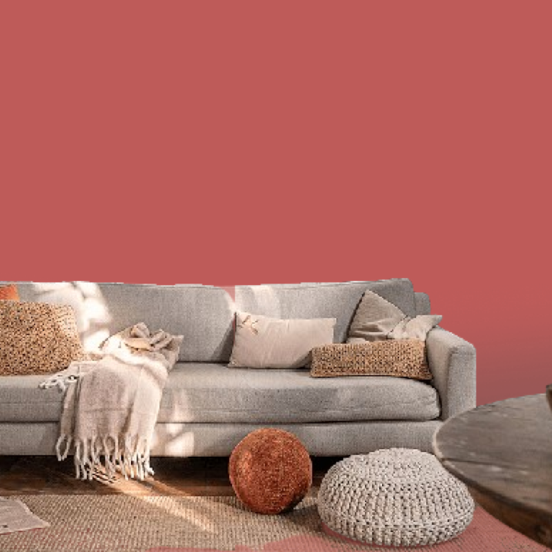 image_51297bef-49b7-4cce-888f-21a8d9c9ad94