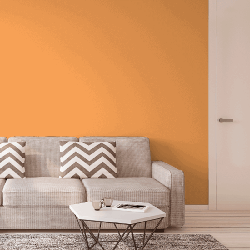 image_c67905d0-dd46-43be-8fd0-e7201a3257eb