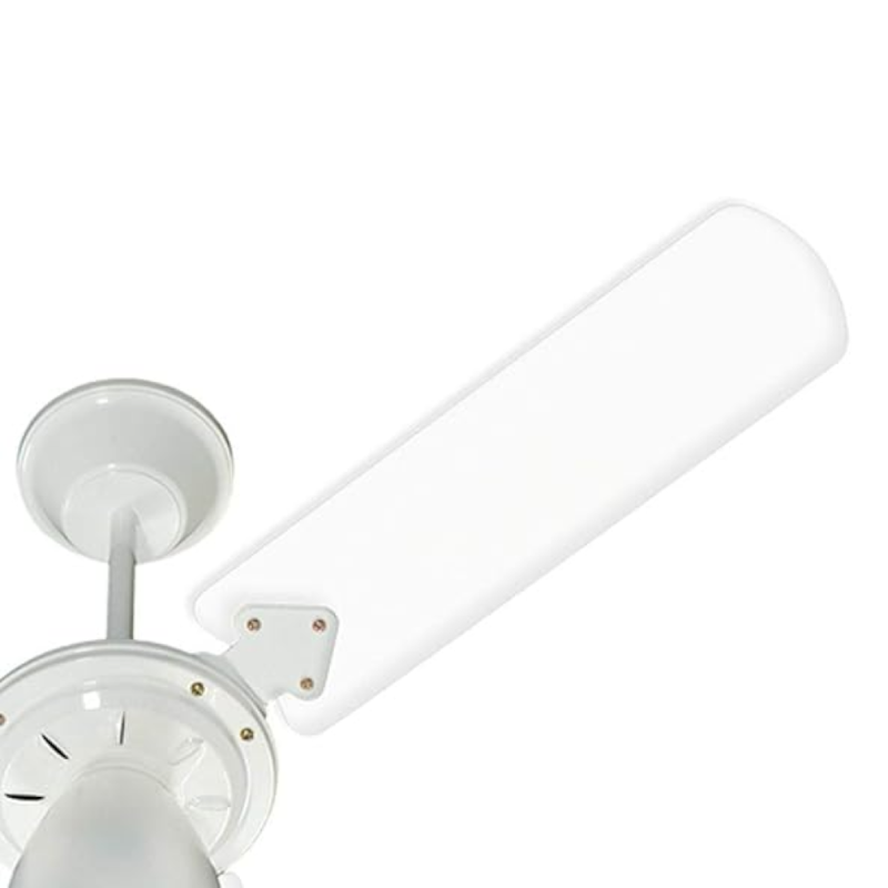 image_ff0a61ae-8d1e-45b7-b8f6-5e80fb6a50a5